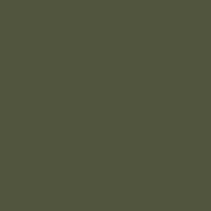 Olive Green RAL 6003