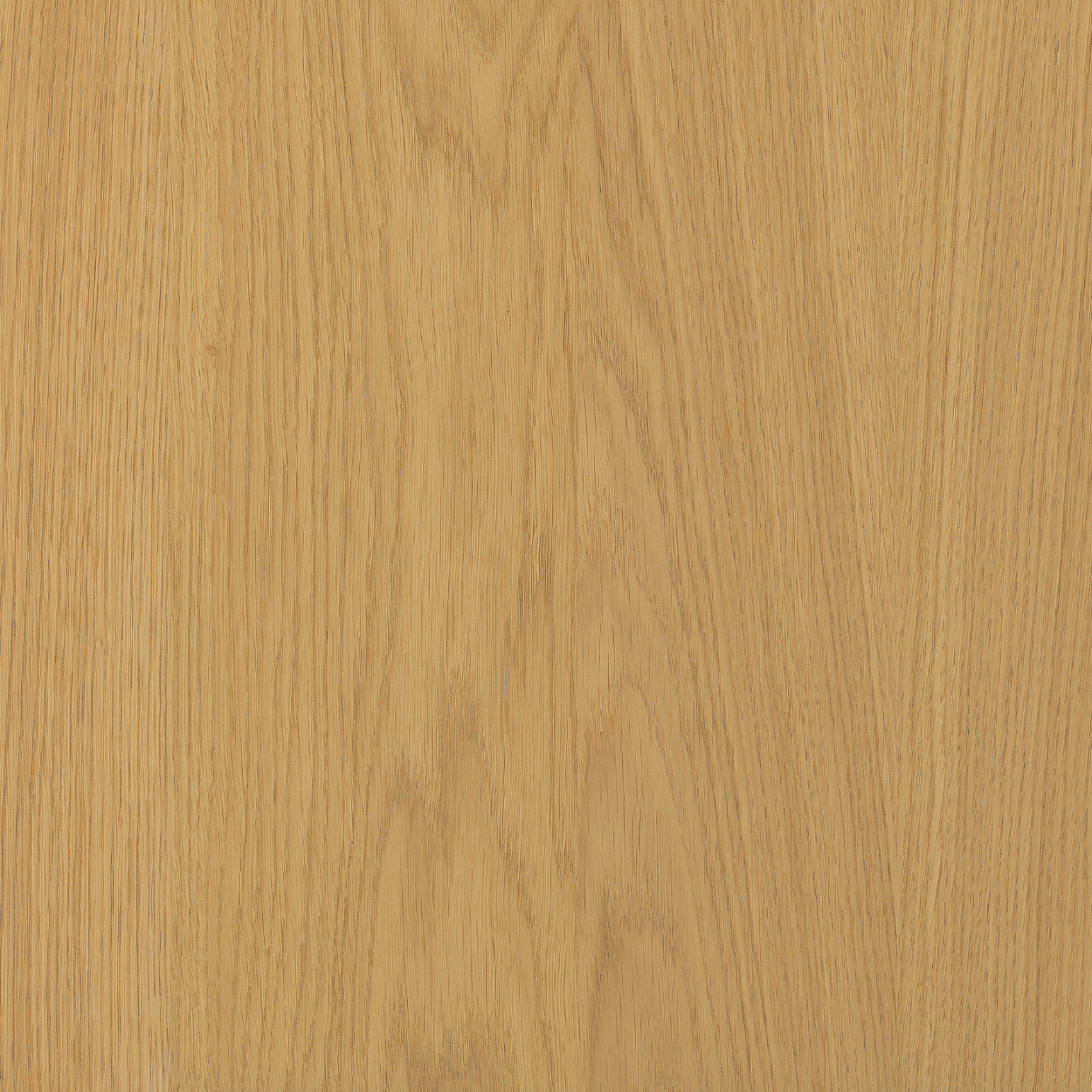Illuminate 91 Natural Oak