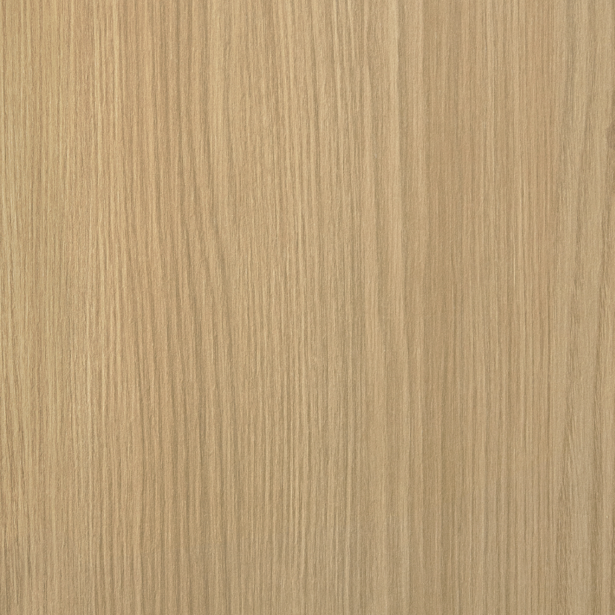 Illuminate 90 Raw Oak