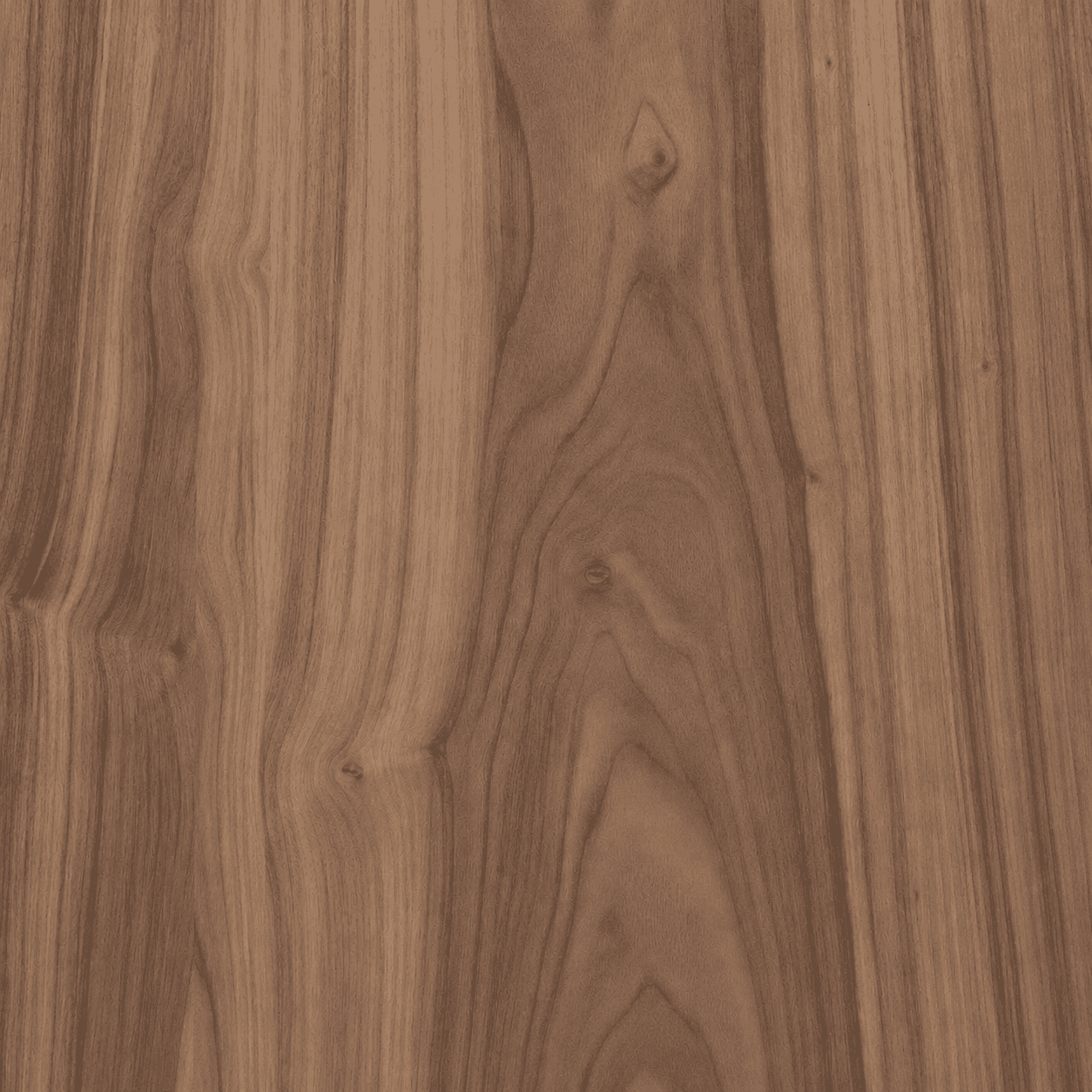 Raw American Walnut