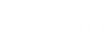 Bolzan Logo